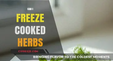 Preserve Freshness: The Ultimate Guide to Freezing Cooked Herbs