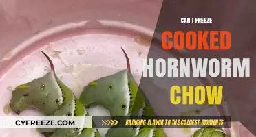 Freezing Cooked Hornworm Chow: A Complete Guide