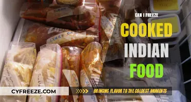 Preserving Flavors: A Guide to Freezing Cooked Indian Food