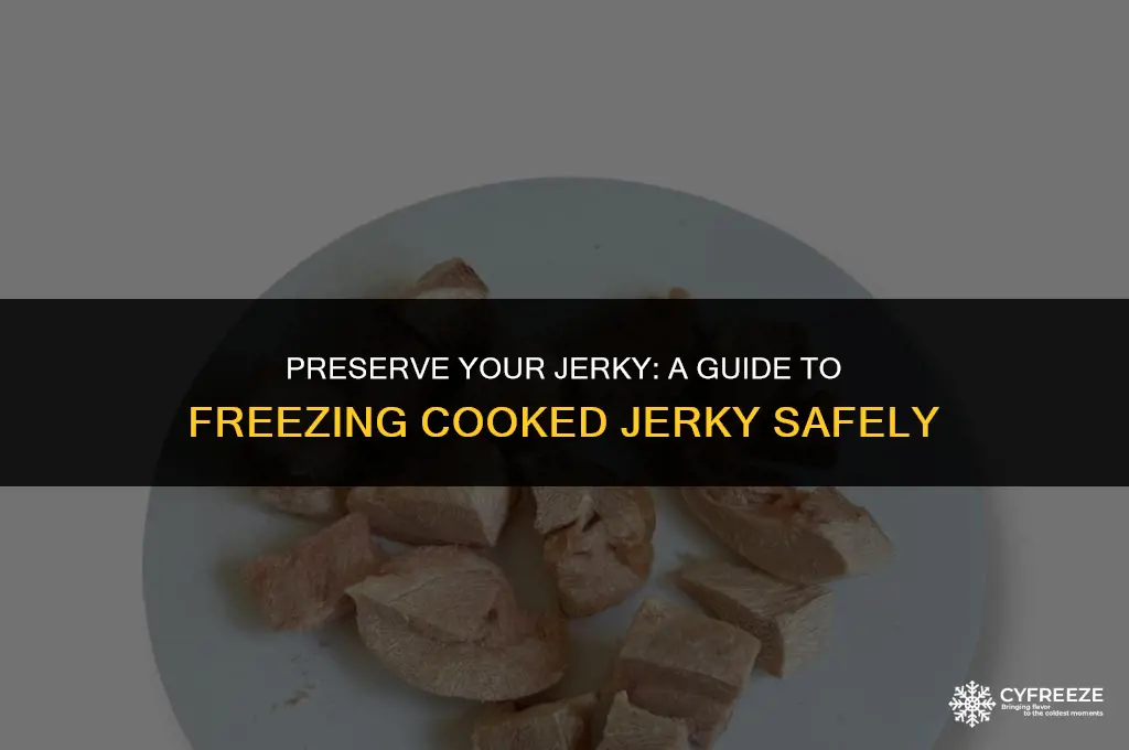 can i freeze cooked jerky