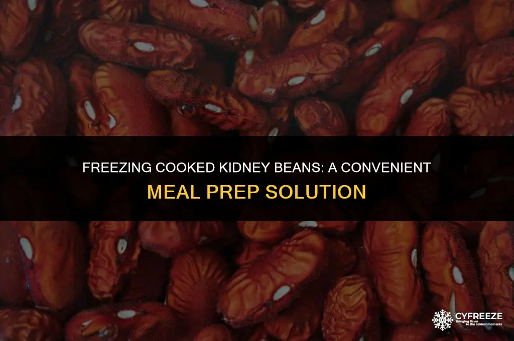 can i freeze cooked kidney beans