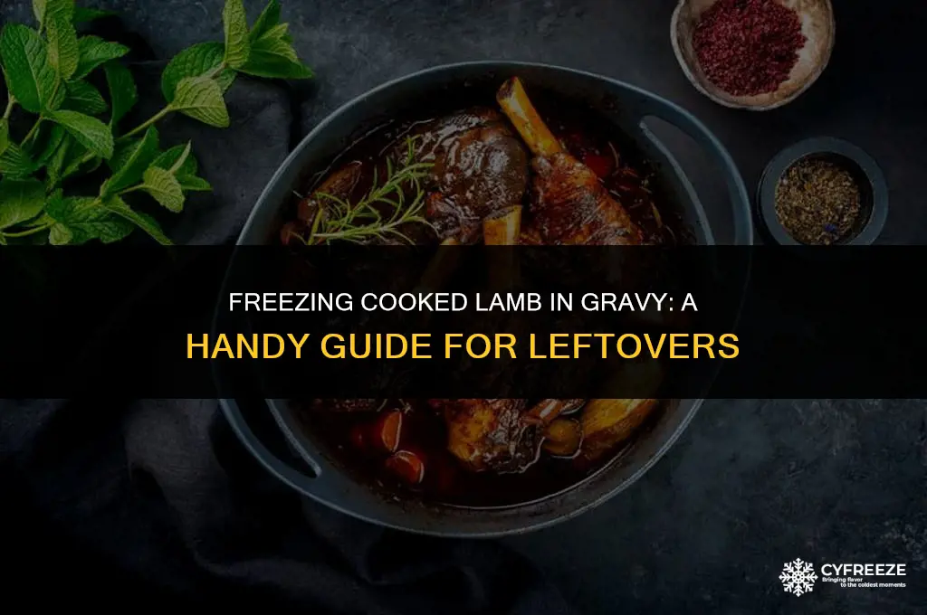 can i freeze cooked lamb in gravy