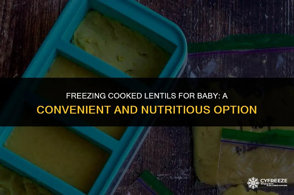 can i freeze cooked lentils for baby