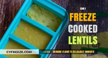 Freezing Cooked Lentils: A Convenient Meal Prep Solution