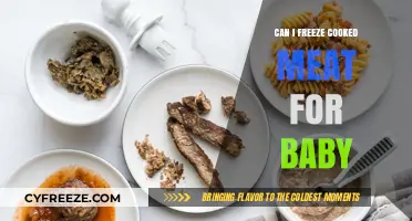 Safely Freezing Cooked Meat for Your Baby: A Complete Guide