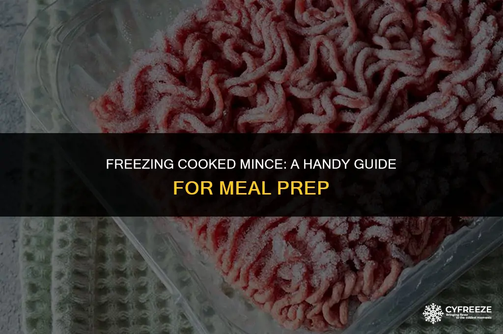 can i freeze cooked mince