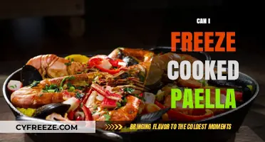 Savoring Leftovers: The Ultimate Guide to Freezing Cooked Paella