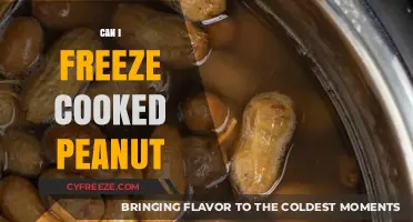 Peanut Perfection: The Ultimate Guide to Freezing Cooked Peanuts