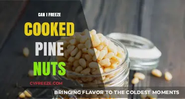 Freezing Cooked Pine Nuts: A Handy Guide for Nut Lovers