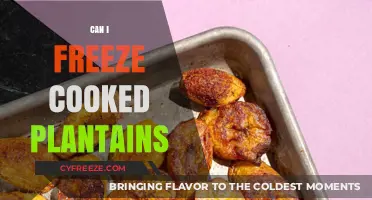 Freezing Cooked Plantains: A Handy Guide for Food Lovers