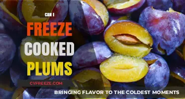Preserve the Sweetness: A Guide to Freezing Cooked Plums