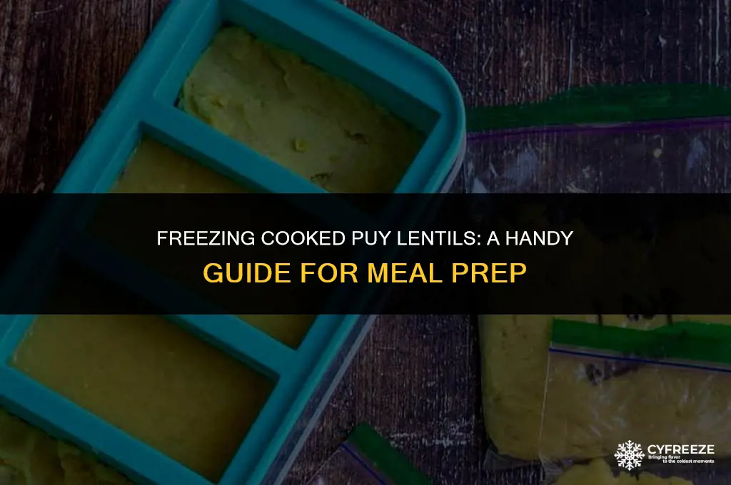 can i freeze cooked puy lentils