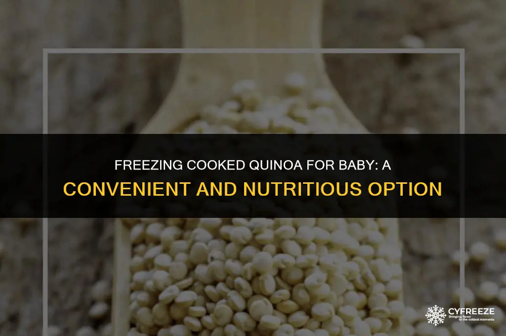 can i freeze cooked quinoa for baby