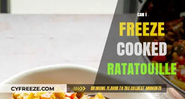 Freezing Cooked Ratatouille: A Handy Guide for Food Lovers