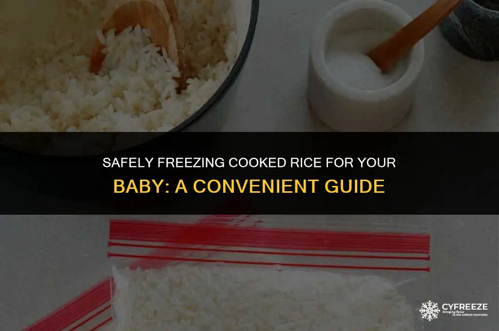 can i freeze cooked rice for baby