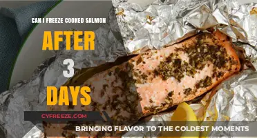 Reviving Leftovers: The Ultimate Guide to Freezing Cooked Salmon Safely