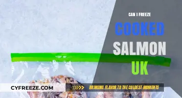 Freezing Cooked Salmon in the UK: A Comprehensive Guide
