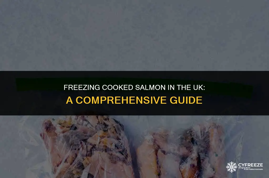 can i freeze cooked salmon uk