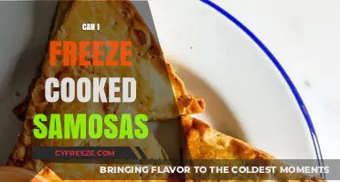 Savor the Flavor: Freezing Cooked Samosas for Later Delight