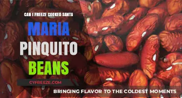 Freezing Cooked Santa Maria Pinquito Beans: A Handy Guide