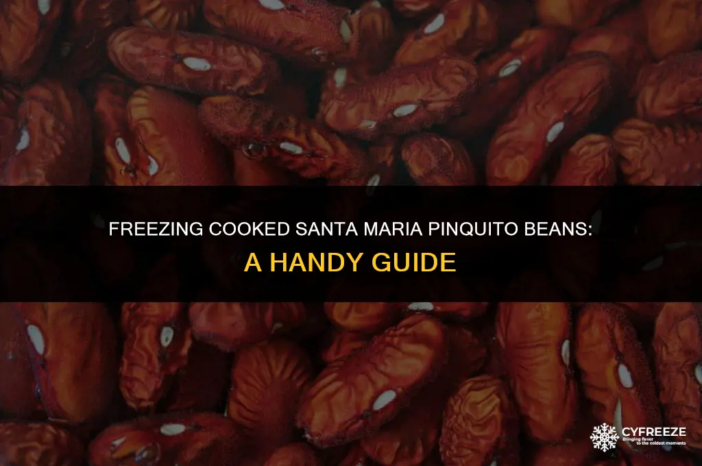 can i freeze cooked santa maria pinquito beans