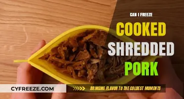Freezing Cooked Shredded Pork: A Complete Guide
