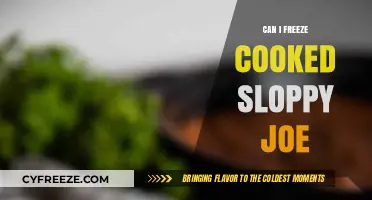 Freezing Cooked Sloppy Joe: A Handy Guide for Meal Prep