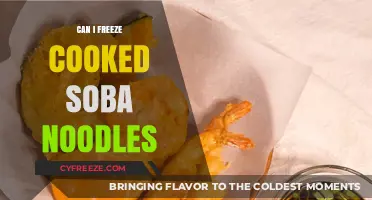 Soba Noodles: The Ultimate Guide to Freezing Cooked Noodles