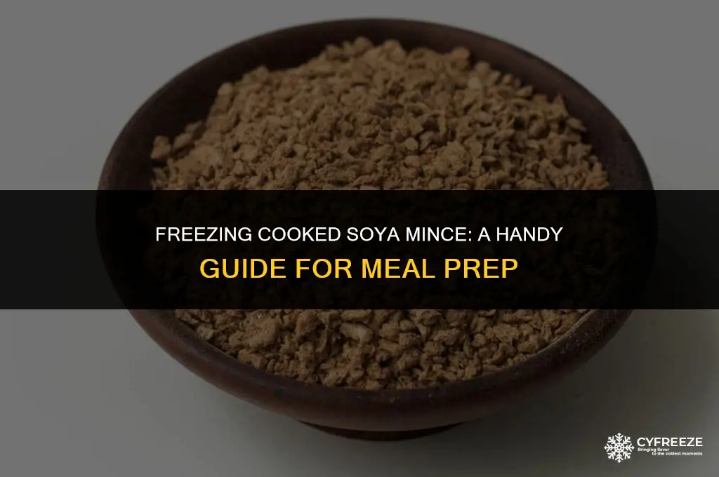 can i freeze cooked soya mince