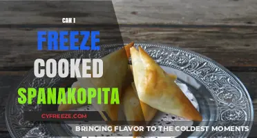 Freezing Cooked Spanakopita: A Handy Guide for Leftovers