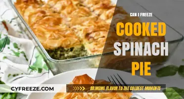 Spinach Pie Storage: Can You Freeze Cooked Spinach Pie?