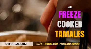 Freezing Cooked Tamales: A Handy Guide for Leftovers