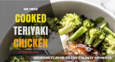 Freezing Cooked Teriyaki Chicken: A Handy Guide for Meal Prep