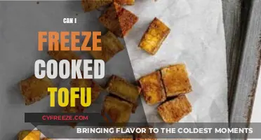 Tofu Freezing Guide: Preserving Cooked Tofu for Later Use