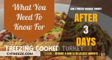 Reviving Leftovers: Can You Safely Freeze Cooked Turkey After 3 Days?