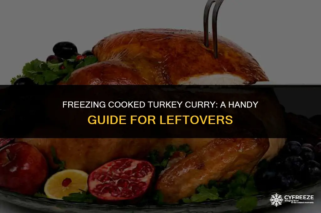 can i freeze cooked turkey curry