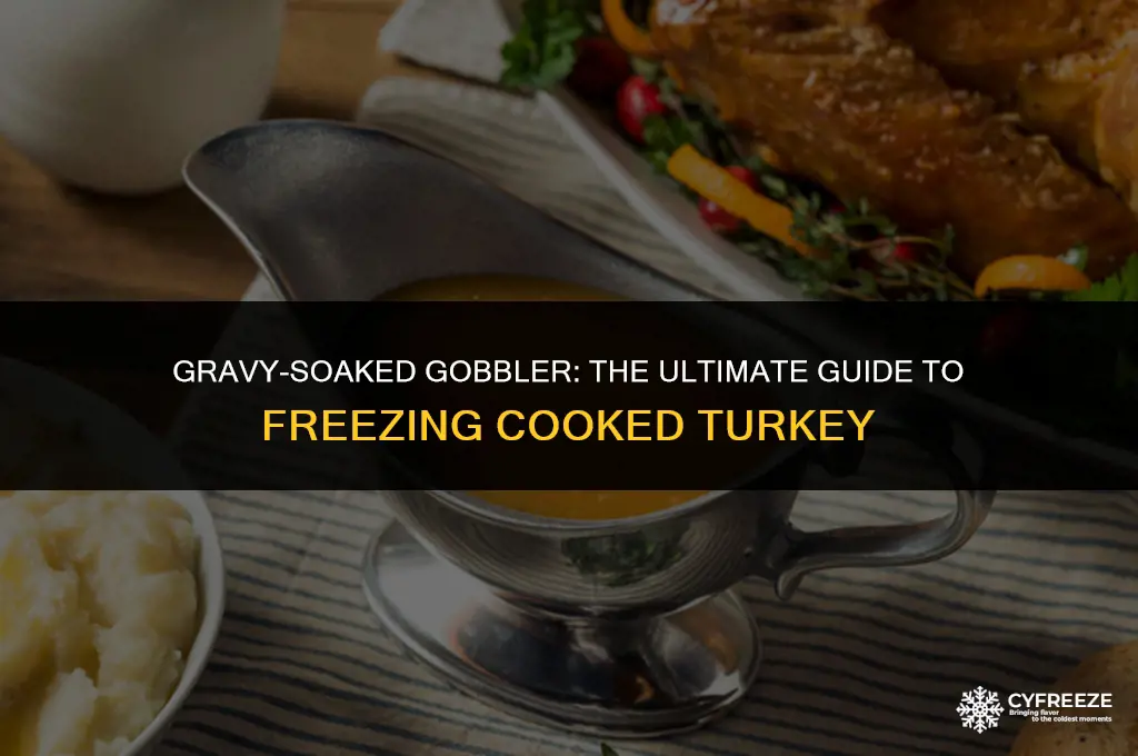 can i freeze cooked turkey in gravy