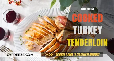 Freezing Cooked Turkey Tenderloin: A Handy Guide for Leftovers