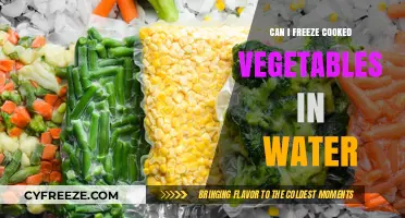 Preserve Your Veggies: A Guide to Freezing Cooked Vegetables in Water