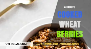 Preserve the Goodness: Freezing Cooked Wheat Berries Made Easy