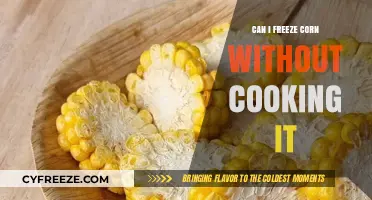 Fresh to Frozen: The Ultimate Guide to Freezing Corn Without Cooking