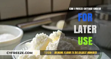 Freezing Cottage Cheese: A Guide to Preserving Freshness for Later Use