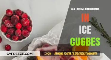Cranberry Ice Cubes: A Refreshing Twist for Your Drinks