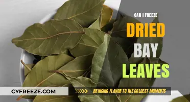 Preserving Flavor: The Ultimate Guide to Freezing Dried Bay Leaves