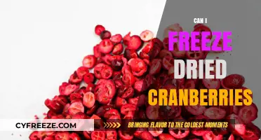Cranberry Preservation: The Ultimate Guide to Freezing Dried Cranberries