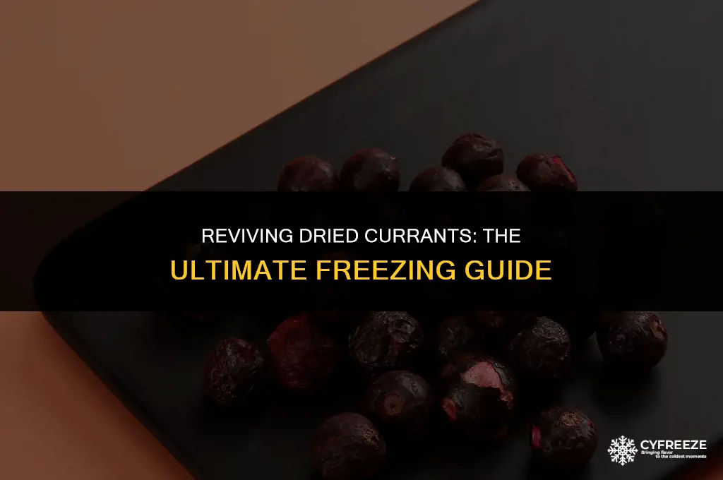can i freeze dried currants