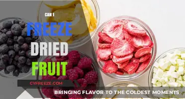 Reviving Nature's Sweetness: The Art of Freezing Dried Fruit