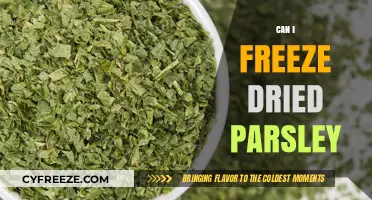 Reviving Freshness: The Ultimate Guide to Freezing Dried Parsley