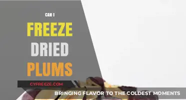 Reviving Summer's Bounty: The Ultimate Guide to Freezing Dried Plums