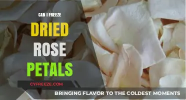 Preserving Beauty: The Art of Freezing Dried Rose Petals